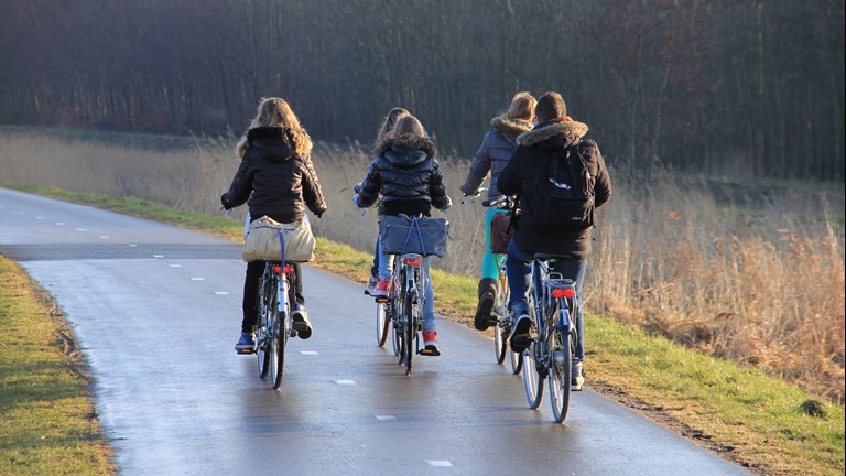 Børn på cykelsti efterår