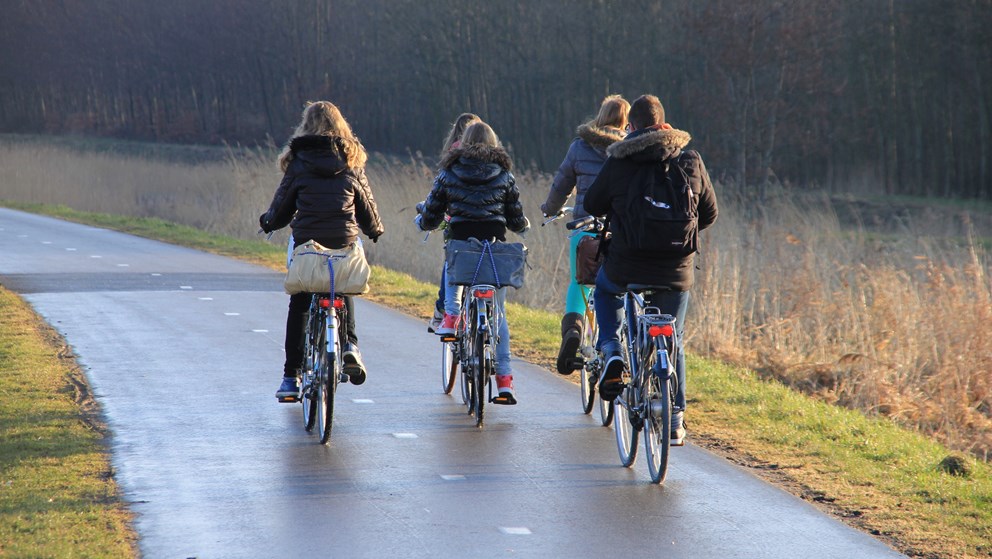 Børn på cykelsti efterår