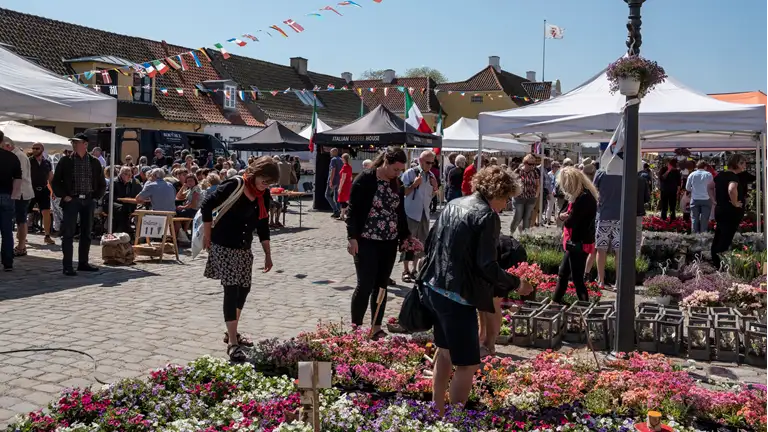 Billede fra Fransk forår i Præstø. Mennesker kigger på boder og blomster