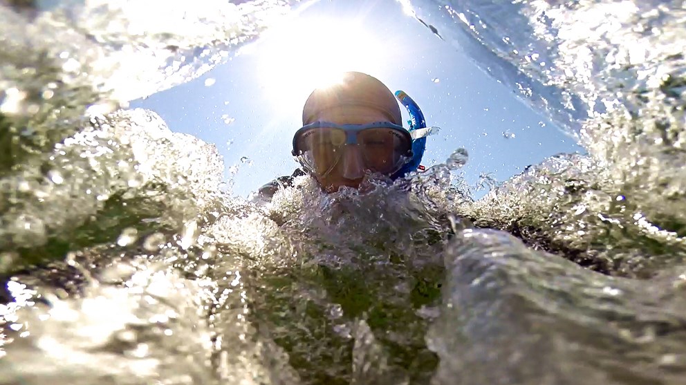 Billede af person, der snorkler i vand