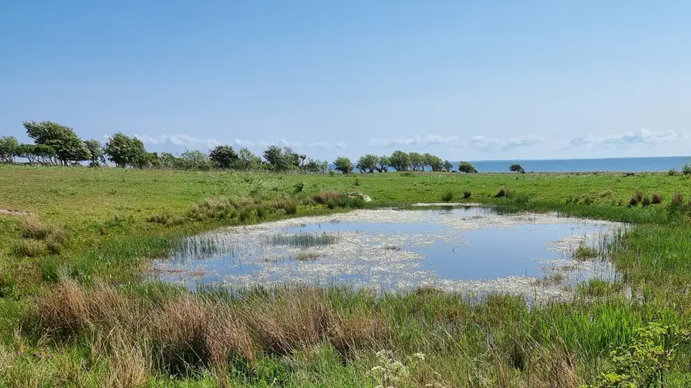 Vandhul med omkringliggende mark og hav i baggrunden