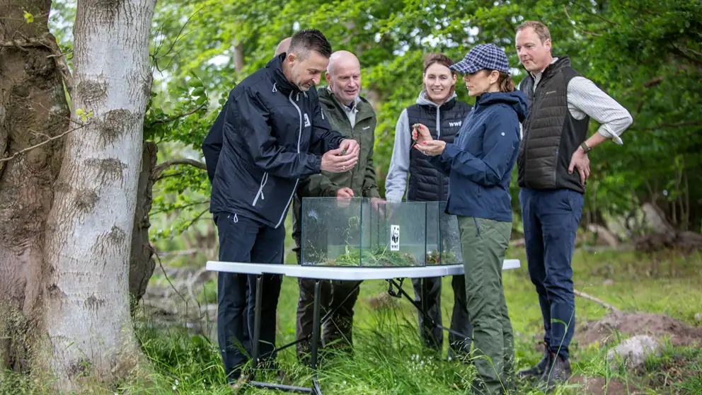 H.M. Dronningen ser på frøer