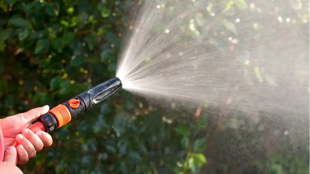 Billede af havevanding med en haveslange