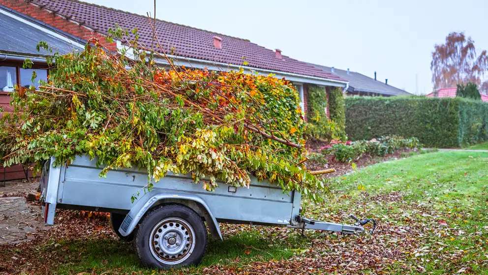 Trailer fyldt med have affald i efteråret