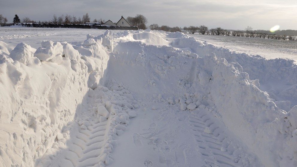 billede af en stor snedrive, der er blevet skubbet væk med en traktor
