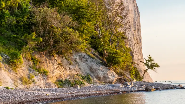 Møns Klint i solskin