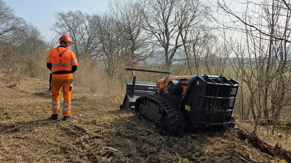 Robotknuser på overdrev på Østmøn